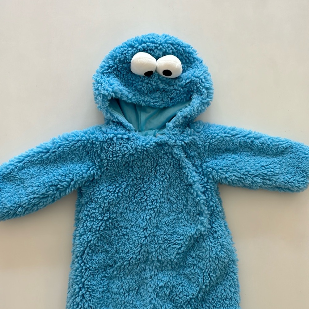 Pottery Barn Cookie Monster Costume